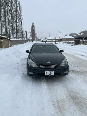 Lexus: Lexus ES: 2004 г., 3.3 л, Автомат, Бензин, Седан — 10