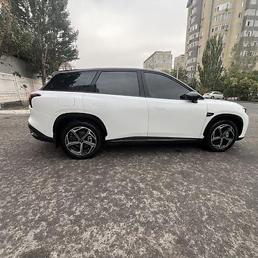 последовательный гибрид: Hozon Neta L: 2024 г., 1.5 л, Автомат, Гибрид, Кроссовер — 5