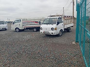 Легкий грузовик, Hyundai, Стандарт, 3 т, Б/у at lalafo.kg — 7 Легкий грузовик, Hyundai, Стандарт, 3 т, Б/у — 7