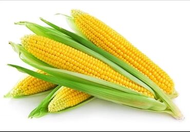 оборудовани: Продаются сладкая кукуруза 🌽 примерно 30тысячи штук цена договорная