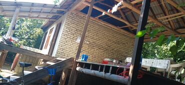 Ağaclar: Salam bağ Qəbələ rayon Nic qəsəbəsində dir bağ 67 sotdan ibarətdir 170 — 10