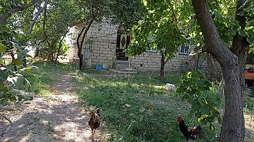visnofkada torpaq: 14 sot, Biznes üçün, Mülkiyyətçi, Kupça (Çıxarış) — 4
