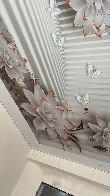 Натяжной потолок: Натяжной потолок — 5