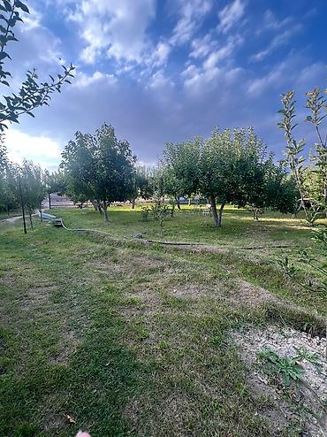 Продажа домов: Ыссык-Кол району Кош-Кол айылынан жер там сатылат Баня бар 17 сотых — 4