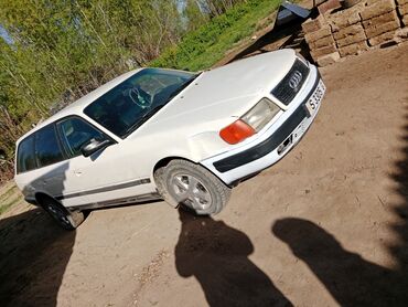 Audi: Audi 100: 1991 г., 2.3 л, Механика, Бензин, Универсал