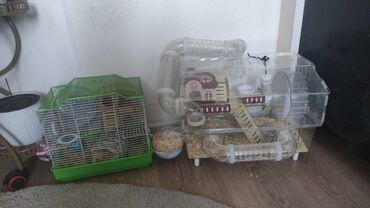 домик хомяка: Комплект для содержания хомяка/мелкого грызуна. В наборе: -