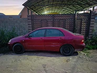 балон 2106: Toyota Corolla: 2004 г., 1.8 л, Механика, Бензин, Седан — 3