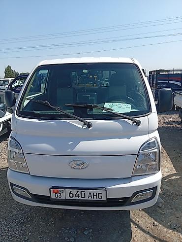 водный катер: Легкий грузовик, Hyundai, Стандарт, До 1 т, Новый — 7