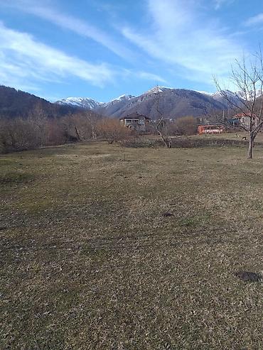 Torpaq sahələrinin satışı: Tikinti — 6