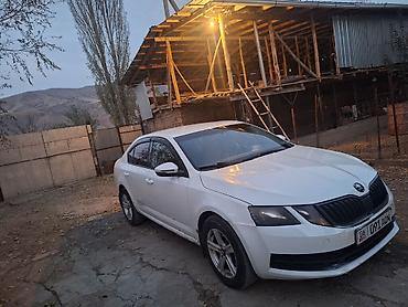 Skoda: Skoda Octavia: 2017 г., Седан — 9