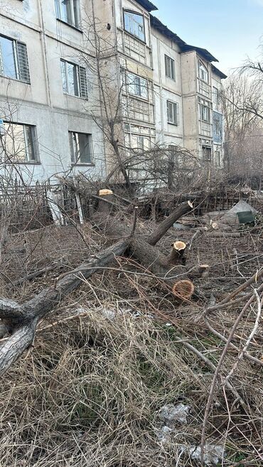 вешалка из дерева: Отун аралайбыз келишим баада пилим дрова договорная терек жыгабыз ар