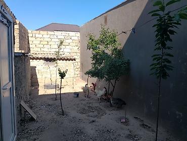 evinde masaj: Salam. Ev satılır 3 kirayesi var və 1 gözəlik salonu kirayelerden — 9