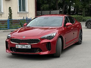 есть варианты: Kia Stinger: 2019 г., 2 л, Автомат, Бензин, Хэтчбэк — 6