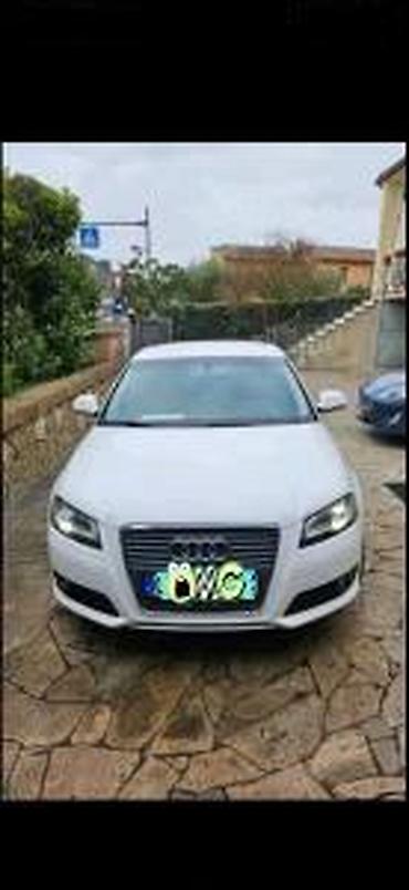 r7 tuning: AUDI A3 8P 2008 SINA BRANIKA | Audi delovi A1 A3 A4 A5 A6 A7 Q5 VW — 1