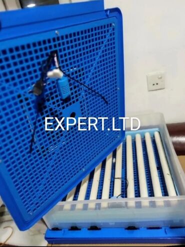 Kənd təsərüfatı heyvanları üçün digər mallar: EXPERT şirkətinin istehsalı olan, smart-rejimli inkubatorlar satılır — 6