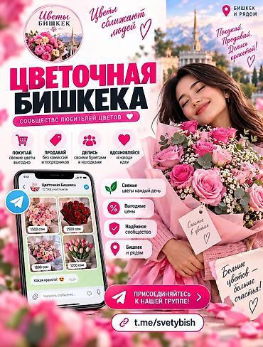картины по номерам бишкек инстаграм: Продать цветы в Бишкеке быстро и бесплатно! Подарили букет, а он не — 3