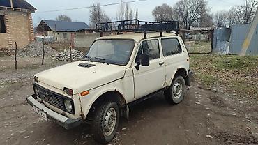 аренда нивы: ВАЗ (ЛАДА) 4x4 Нива: 1994 г., 1.6 л, Механика, Бензин, Внедорожник — 1