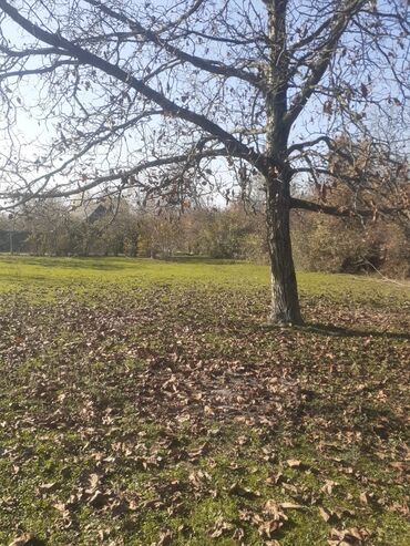 Torpaq sahələrinin satışı: 30 sot, Tikinti, Kupça (Çıxarış) — 9