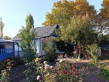 в воронцовке: 4 комнаты, 40 м², 15 соток, Бишкек, Таш-Добо ж/м Собственник — 7