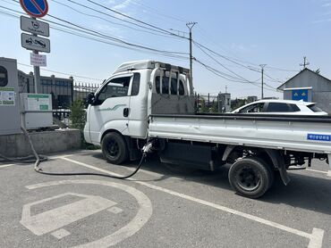 электронные машины: Легкий грузовик, Kia, Стандарт, 3 т, Новый