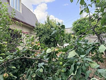 ошском рынке: Продаю Дом район Аламед.рынка От трассы — 6