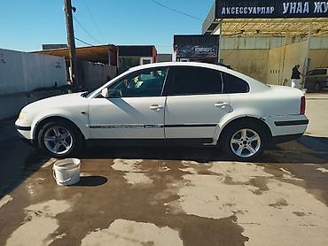 империал бостери: Volkswagen Passat: 2000 г. — 3