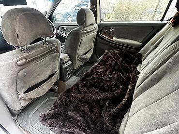 Nissan: Nissan Cefiro: 1999 г., 2.5 л, Автомат, Бензин, Седан — 9