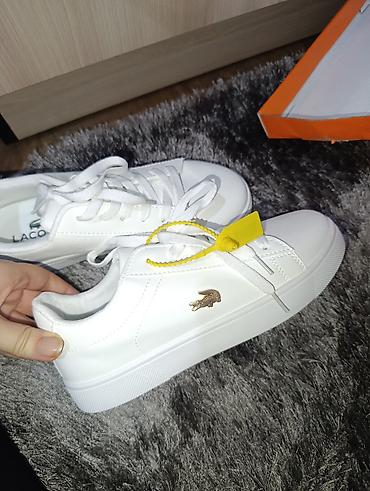 lacoste кроссовки: Кроссовки, 38, Lacoste, Новый, цвет - Белый, Платная доставка — 1