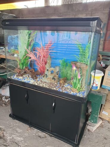 разведение животных: Продаю аквариум 230л длина 1м Ширина 40см Высота 60см Всё в рабочем