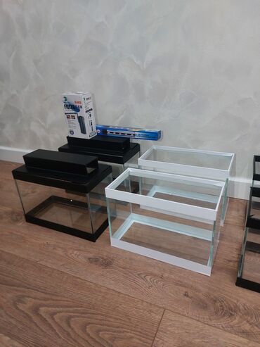 Akvariumlar: Ölçü 30×20×15

Ev və ofis üçün estetik, baxımı asan mini akvaryum — 9