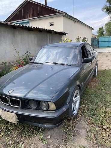 жили машина: BMW 5 series: 1995 г., Седан — 3
