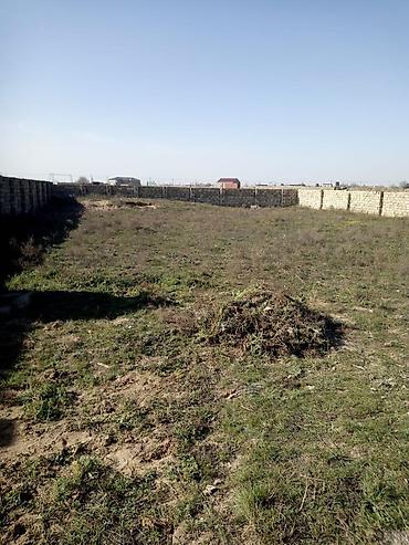 zirə ev: Bakı, Zirə qəs., 120 kv. m, 3 otaqlı, Hovuzsuz, Qaz, İşıq — 3