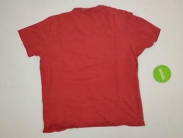 and bear pull: Us Polo Assn, Koszulka dla mężczyzn, rozmiar 2XL — 3