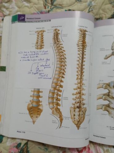 Медицина: «Атлас анатомии» Фрэнка Неттера вот уже более 25 лет является лучшим и at lalafo.kg — 8 Медицина: «Атлас анатомии» Фрэнка Неттера вот уже более 25 лет является лучшим и — 8