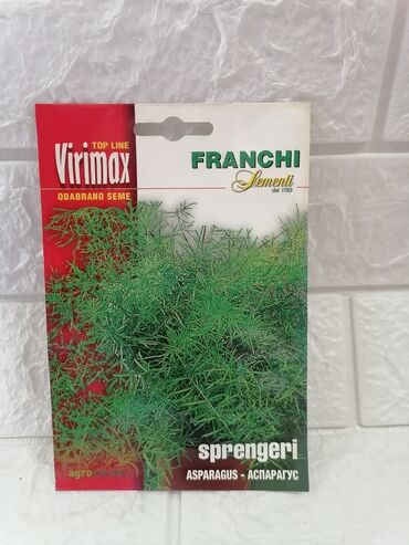 Semena i sadnice: Cena 500din/kesica — 21