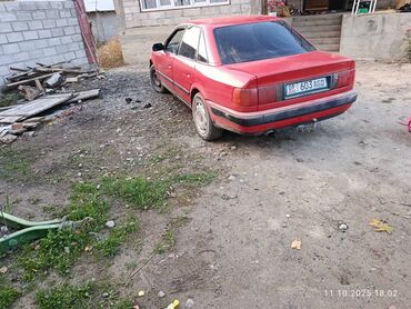 Audi: Audi 100: 1991 г., Седан — 6