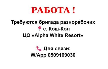 повара на дому: Вакансия: требуются бригады разнорабочих Место работы: с. Кош-Кёл, ЦО