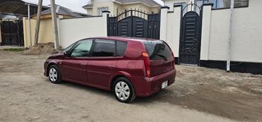 Toyota: Toyota Opa: 2000 г., 1.8 л, Автомат, Бензин, Универсал