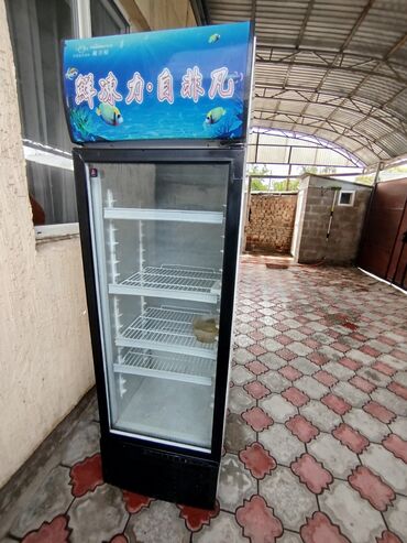 Холодильники: Холодильник Б/у, Однокамерный, 60 * 1800 *