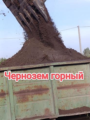 plaud note: В тоннах, Зил — 1