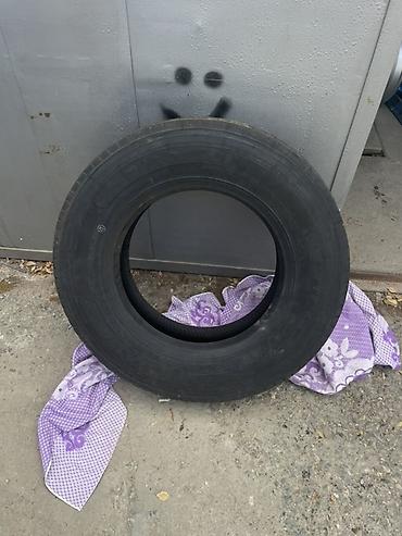 112 5: Шины JINYU JF568 215/75 R17.5 - Тип: грузовые/коммерческие — 6