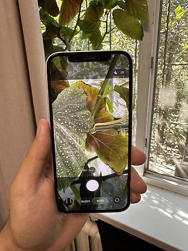 Apple iPhone: Срочно продаю свой айфон IPhone 64гб белый камера АКБ Фэйс айди трутон — 15