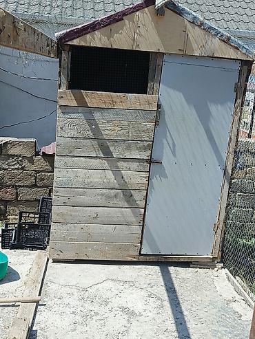 mustanq heyvan: Taxta göyərçinxana – hazır konstruksiya Məhsul təsviri: - Tam — 3