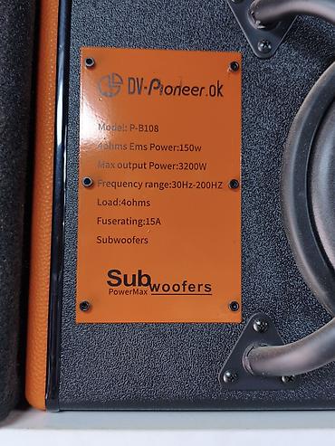 200: Сабвуфер DV-Pioneer.ok P-B108 в корпусе - Модель: P-B108 (серия Sub — 2