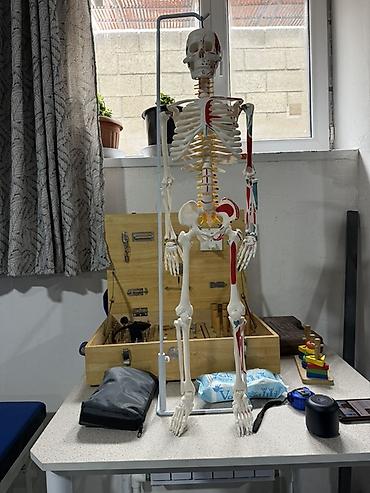 Медицинские услуги: Клиника | | Другие медицинские услуги — 8