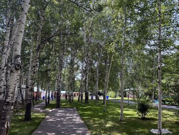 купить квартиру в строящемся доме: 2 комнаты, 55 м², 1 этаж, Дизайнерский ремонт