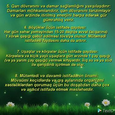 mürebbe: Məhsul: Sərv qozası doşabı – ev üsulu ilə hazırlanmış, tam təbii — 1