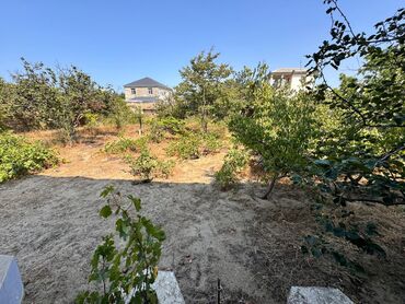 Bağ evlərinin satışı: Bağ evi / həyət evi - İki mərtəbəli tikili, üstü mansardvari hündür — 15