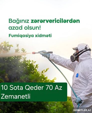 Tikinti və təmir: Dezinfeksiya, dezinseksiya | Taxtabiti, Birələr, Tarakanlar | Ofislər, Mənzillər, Evlər