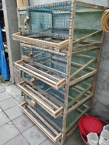 heyvan qəfəsi: Bildircin qefesi 4 mertebe olculer hundurluk 1.54 m. Eni 90sm Real — 4